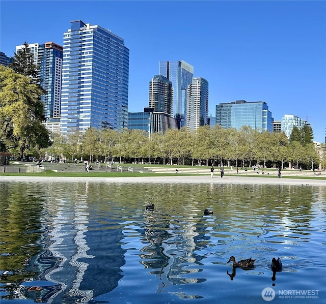 water view featuring a city view