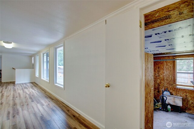 8095 Mosey Ct, Maple Falls, WA 98266 - hallway with baseboards, wood finished floors, and a healthy amount of sunlight