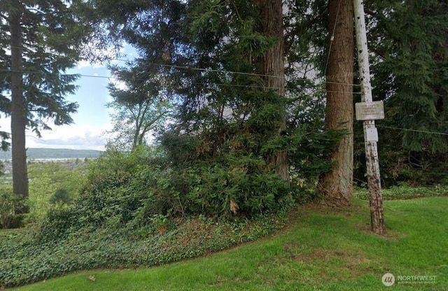815 Conger St, Aberdeen, WA 98520 - photo 2