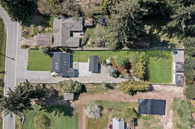 drone / aerial view