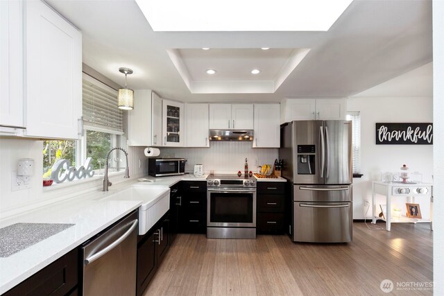 9365 Central Valley Rd NE, Bremerton, WA 98311 - kitchen featuring a raised ceiling, a sink, under cabinet range hood, white cabinetry, and stainless steel appliances