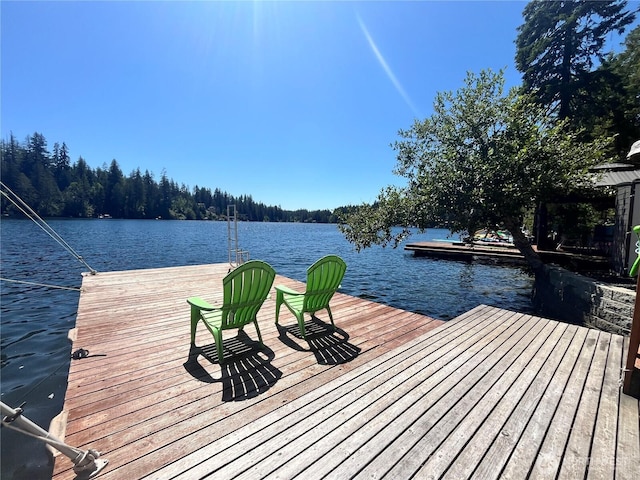 1921 NE Haven Way, Tahuya, WA 98588 - dock area featuring a water view