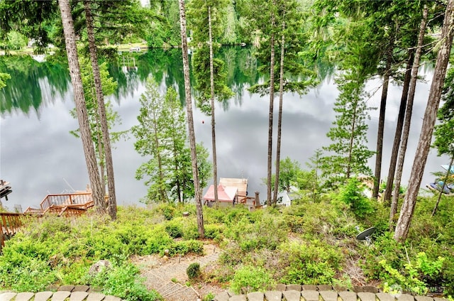 1921 NE Haven Way, Tahuya, WA 98588 - water view