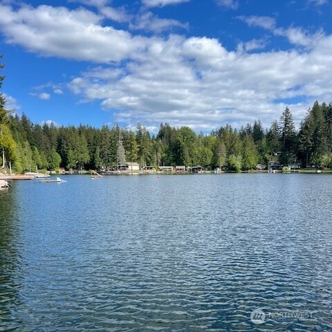 1921 NE Haven Way, Tahuya, WA 98588 - property view of water with a forest view