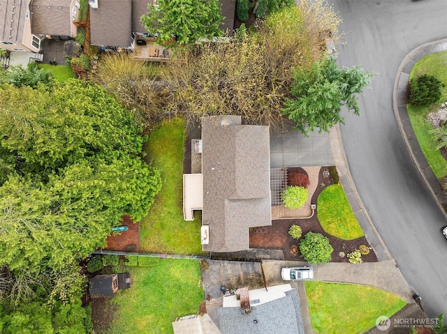 aerial view