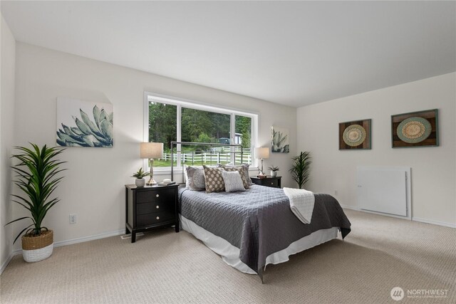 3112 219th Ave SE, Snohomish, WA 98290 - photo 17