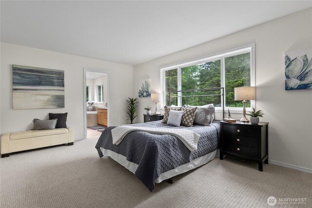 3112 219th Ave SE, Snohomish, WA 98290 - photo 18
