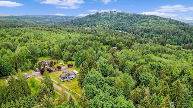 3112 219th Ave SE, Snohomish, WA 98290 - photo 36