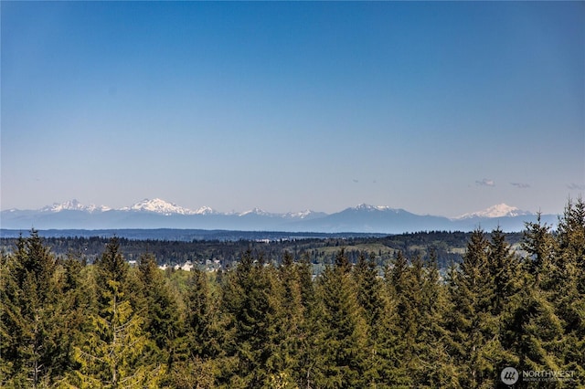 124 Hoods View Ct, Port Ludlow, WA 98365