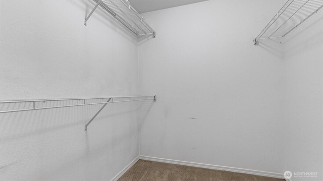 walk in closet featuring dark carpet