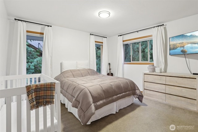 bedroom featuring carpet floors