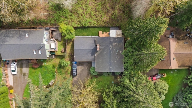 drone / aerial view