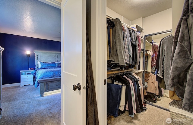 spacious closet featuring carpet