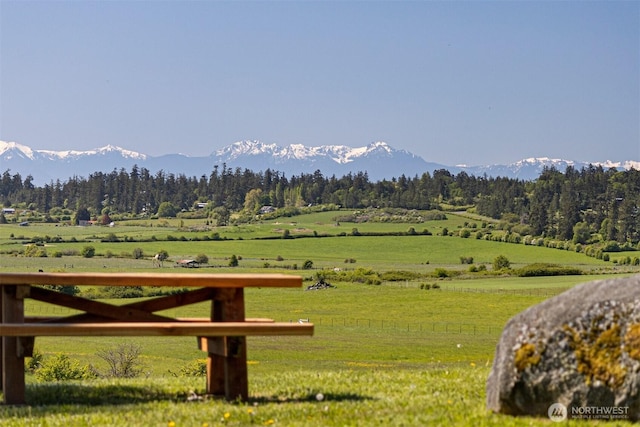 142 Pemberton Pl, Friday Harbor, WA 98250 - mountain view featuring a rural view and a forest view