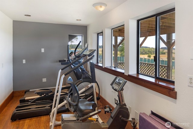 142 Pemberton Pl, Friday Harbor, WA 98250 - exercise room with wood finished floors and baseboards