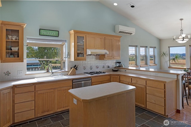 142 Pemberton Pl, Friday Harbor, WA 98250 - kitchen featuring stainless steel dishwasher, a sink, a chandelier, under cabinet range hood, and an AC wall unit