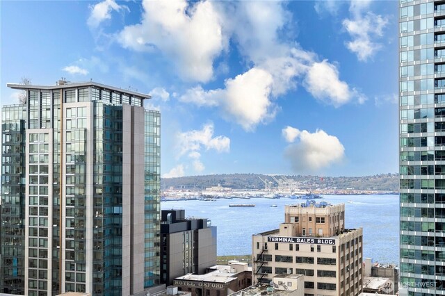 300 Virginia St Unit 1710, Seattle, WA 98101 - city view with a water view