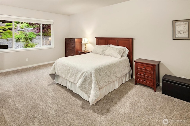 10730 204th Ave SE, Snohomish, WA 98290 - photo 16