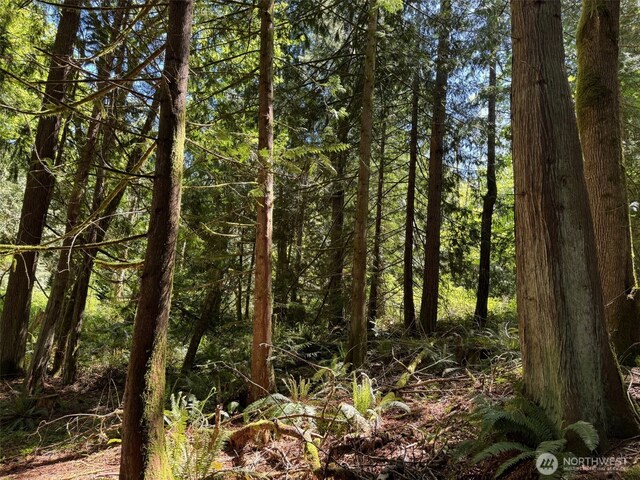 0 Pioneer Rd, Seabeck, WA 98380