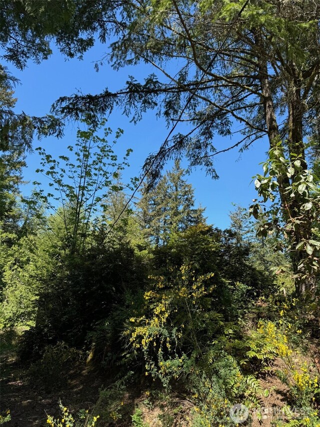 0 Pioneer Rd, Seabeck, WA 98380