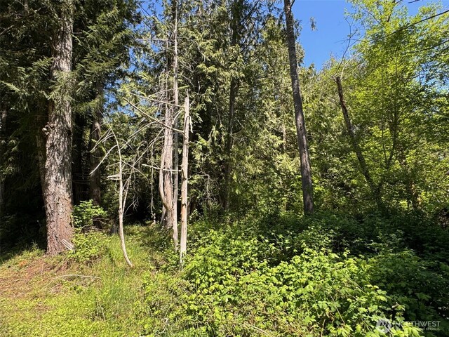 0 Pioneer Rd, Seabeck, WA 98380