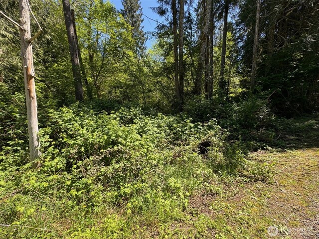 0 Pioneer Rd, Seabeck, WA 98380