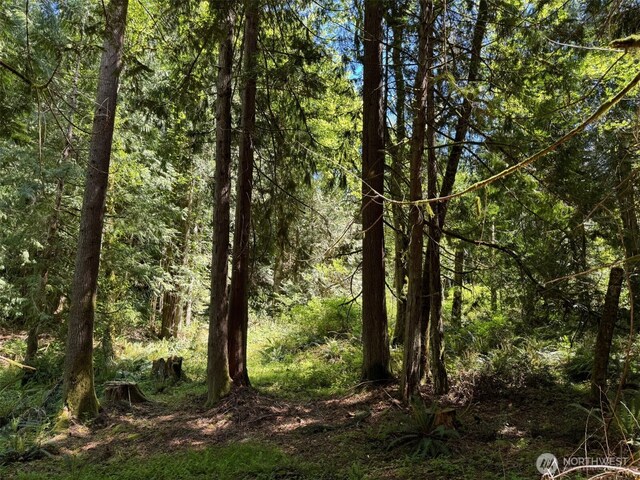 0 Pioneer Rd, Seabeck, WA 98380