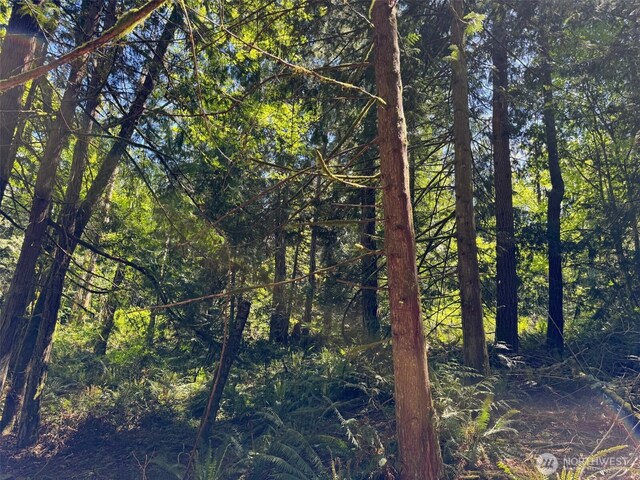 0 Pioneer Rd, Seabeck, WA 98380