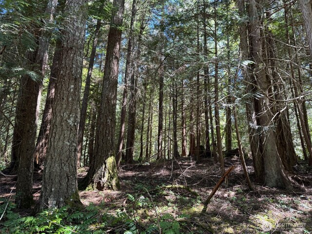 0 Pioneer Rd, Seabeck, WA 98380