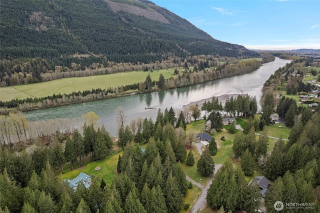 drone / aerial view with a view of trees and a water and mountain view
