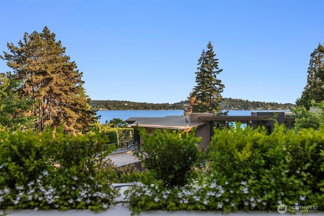 view of water feature