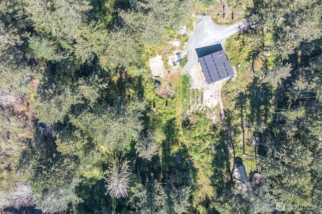 drone / aerial view