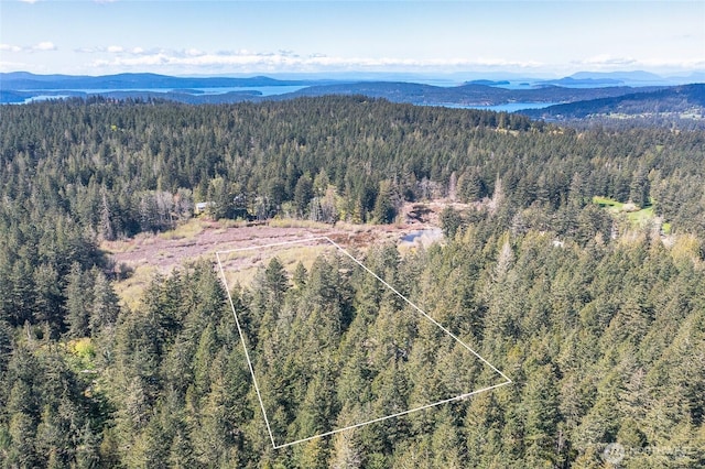 aerial view featuring a wooded view and a mountain view