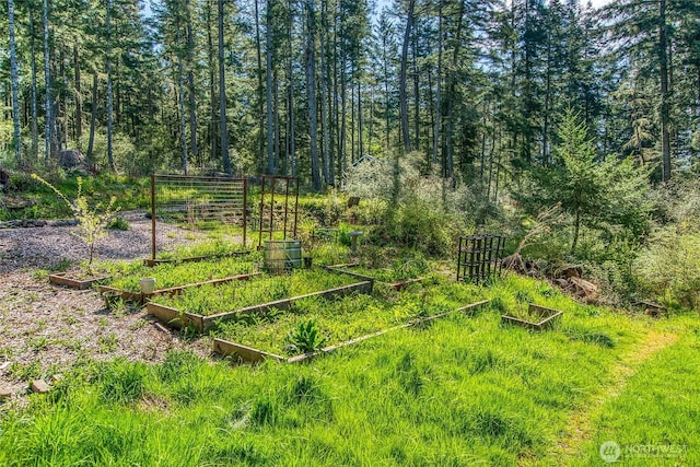 view of yard with a vegetable garden