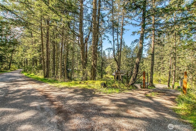view of street featuring a wooded view