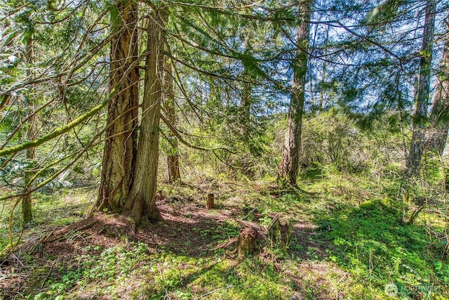 view of landscape with a view of trees