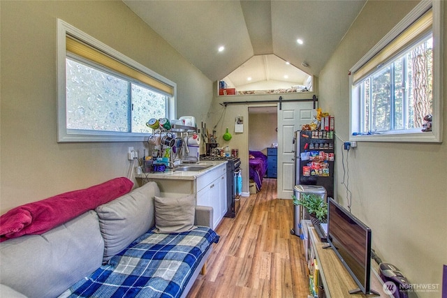 interior space featuring light countertops, light wood-style floors, a barn door, and a healthy amount of sunlight