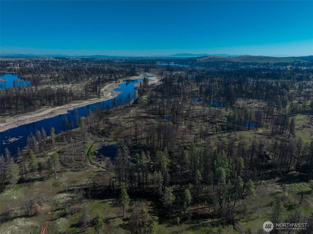 11410 S Medical Lake Rd, Medical Lake, WA 99022 - photo 1