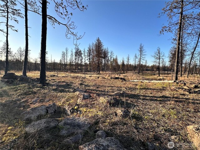 11410 S Medical Lake Rd, Medical Lake, WA 99022 - photo 3