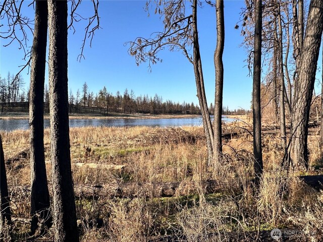 11410 S Medical Lake Rd, Medical Lake, WA 99022 - photo 7