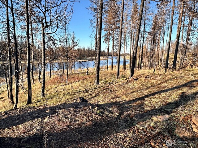 11410 S Medical Lake Rd, Medical Lake, WA 99022 - photo 9