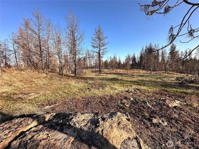 11410 S Medical Lake Rd, Medical Lake, WA 99022 - photo 10