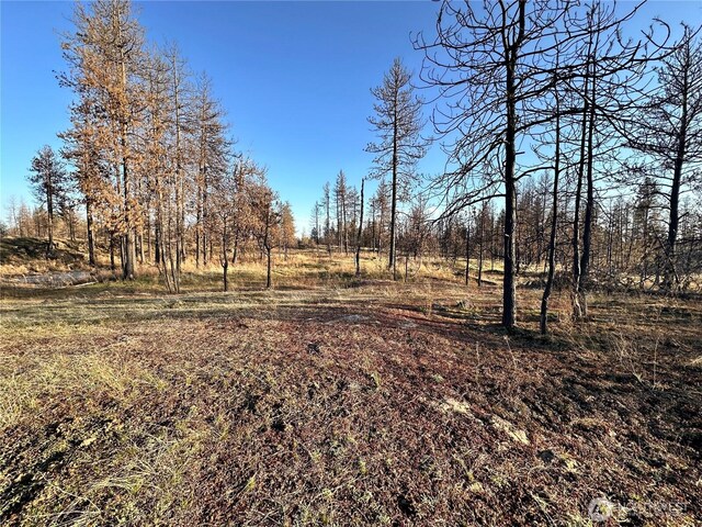 11410 S Medical Lake Rd, Medical Lake, WA 99022 - photo 11