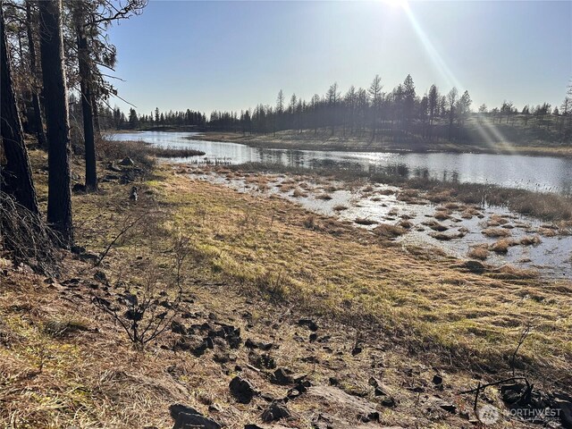 11410 S Medical Lake Rd, Medical Lake, WA 99022 - photo 12