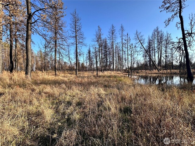 11410 S Medical Lake Rd, Medical Lake, WA 99022 - photo 13