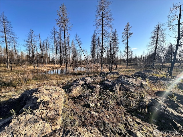 11410 S Medical Lake Rd, Medical Lake, WA 99022 - photo 14