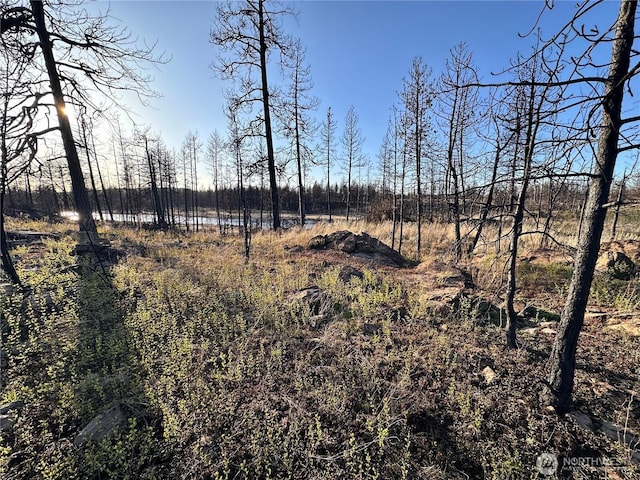 11410 S Medical Lake Rd, Medical Lake, WA 99022 - photo 15