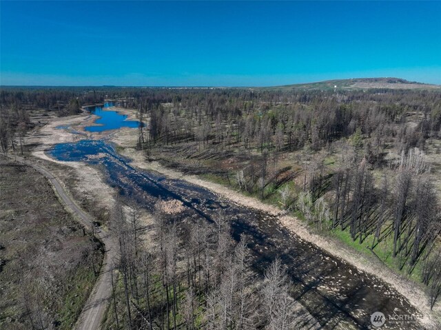 11410 S Medical Lake Rd, Medical Lake, WA 99022 - photo 22