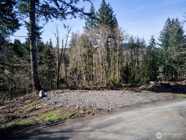 140 Skinner Rd, Woodland, WA 98674 - photo 2
