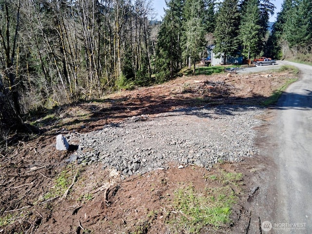 140 Skinner Rd, Woodland, WA 98674 - photo 3